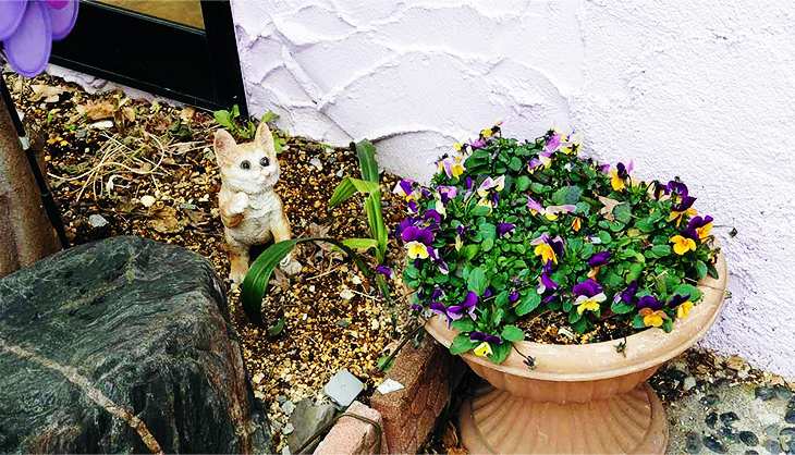 入口の左手に小さな猫ちゃん 入口の左手に小さな猫ちゃん