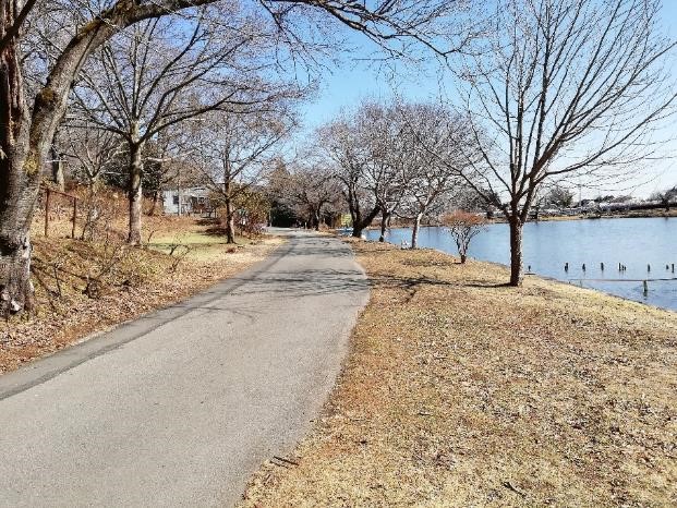 錦鯉公園前 錦鯉公園前