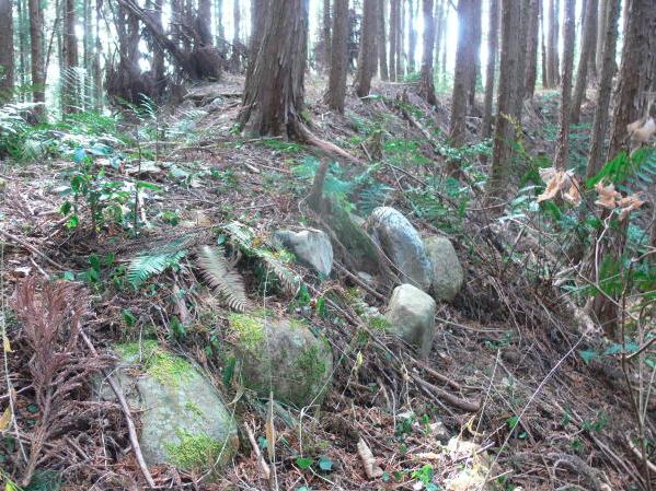 写真(3)-登城路付近石垣 写真(3)-登城路付近石垣
