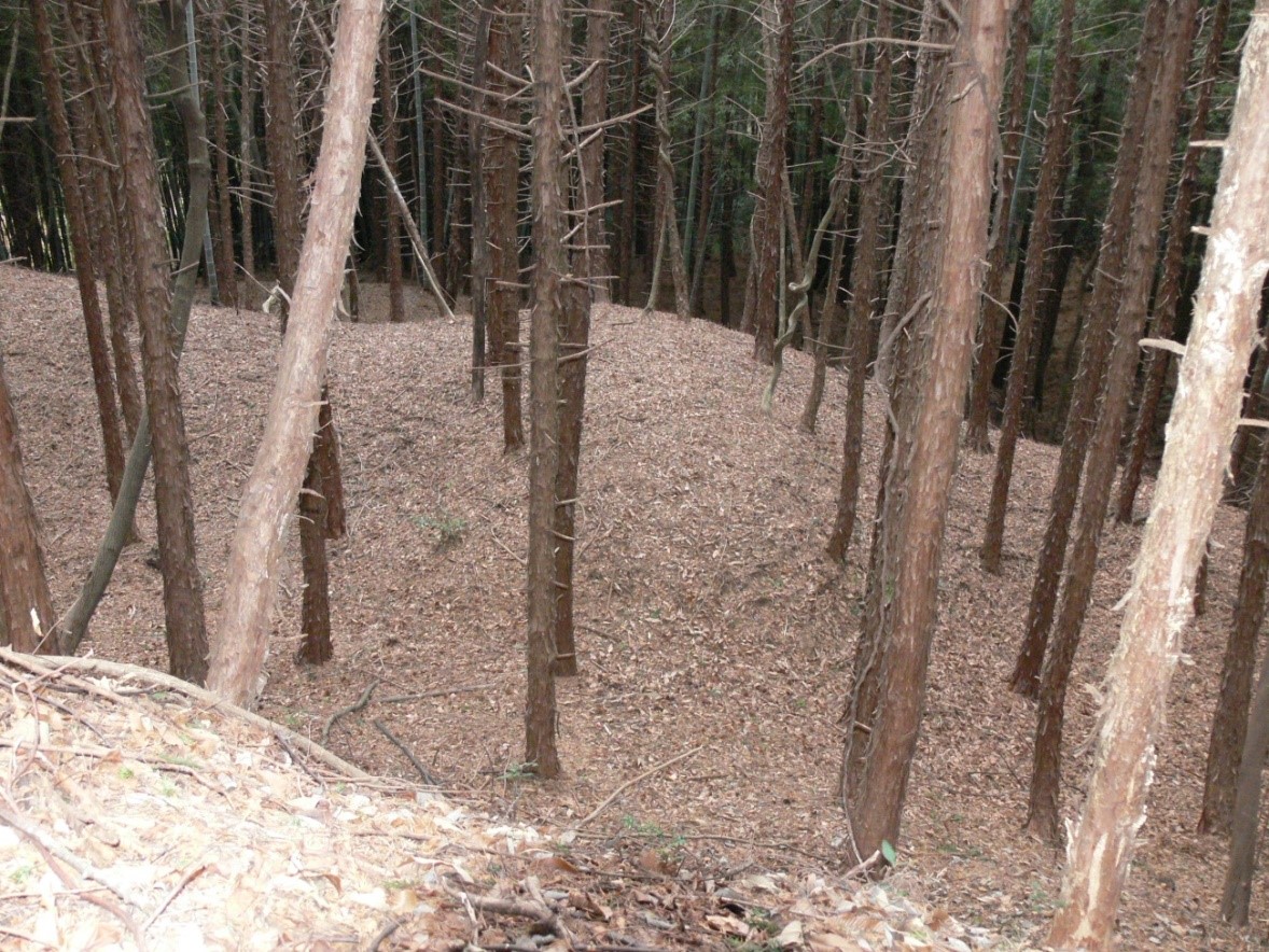 写真1-山麓の城の空堀 写真1-山麓の城の空堀